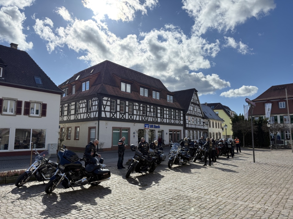 Early-Bird 2026 Tour